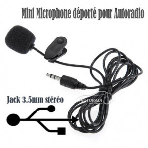 Mini Microphone déporté...